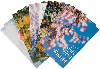 Nature Get Well Assortment Card Set