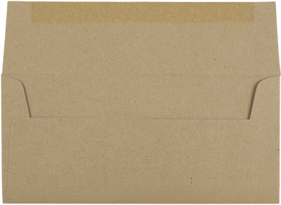 Grocery Bag 28lb #10 Square Flap Envelopes (4 1/8 x 9 1/2)