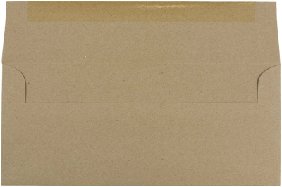 Grocery Bag 28lb #10 Square Flap Envelopes (4 1/8 x 9 1/2)
