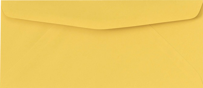 Goldenrod 24lb #10 Regular Envelopes (4 1/8 x 9 1/2)