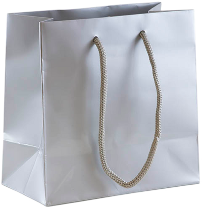 Silver Small Glossy Gift Bags (6 1/2 x 6 1/2 x 3 1/2)