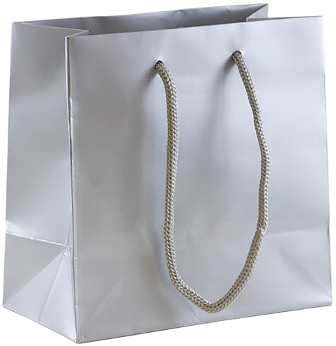 Silver Small Glossy Gift Bags (6 1/2 x 6 1/2 x 3 1/2)