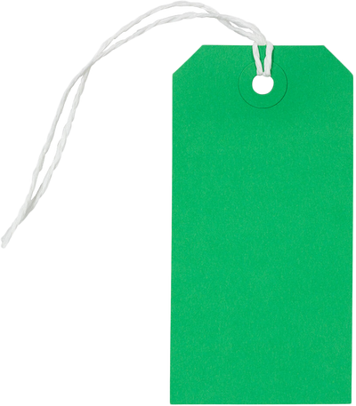 Green Medium Gift Tags (4 1/4 x 2 3/8) - 10 Pack