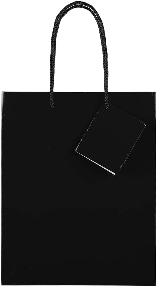 Black Glossy Medium Gift Bags (8 x 10 x 4)