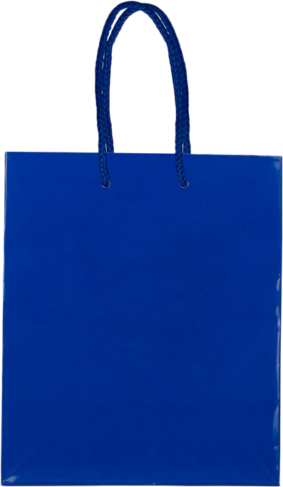Blue Medium Glossy Gift Bag (8 x 10 x 4)