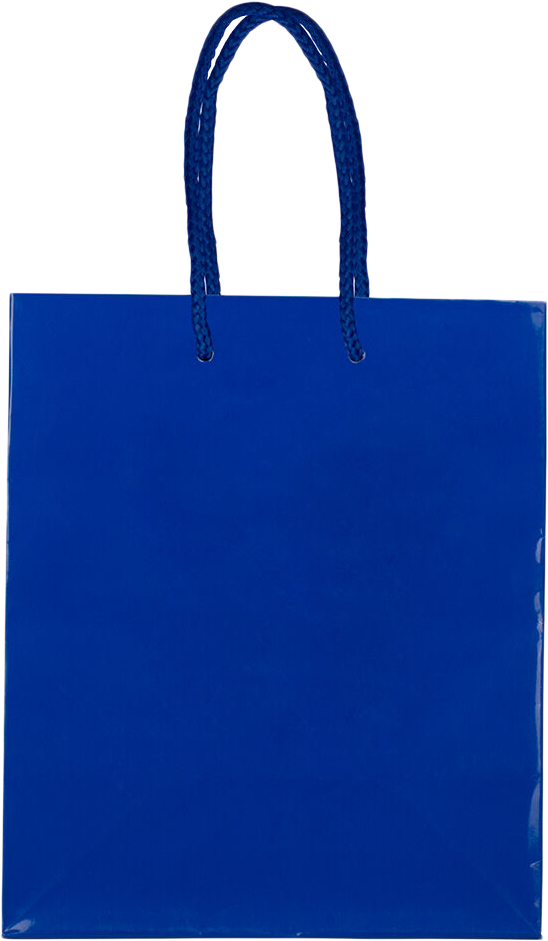 Blue Medium Glossy Gift Bag (8 x 10 x 4)