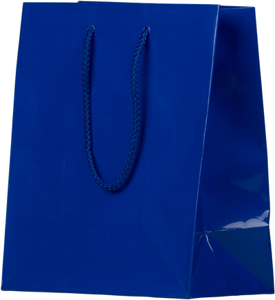 Blue Medium Glossy Gift Bag (8 x 10 x 4)