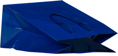 Blue Medium Glossy Gift Bag (8 x 10 x 4)