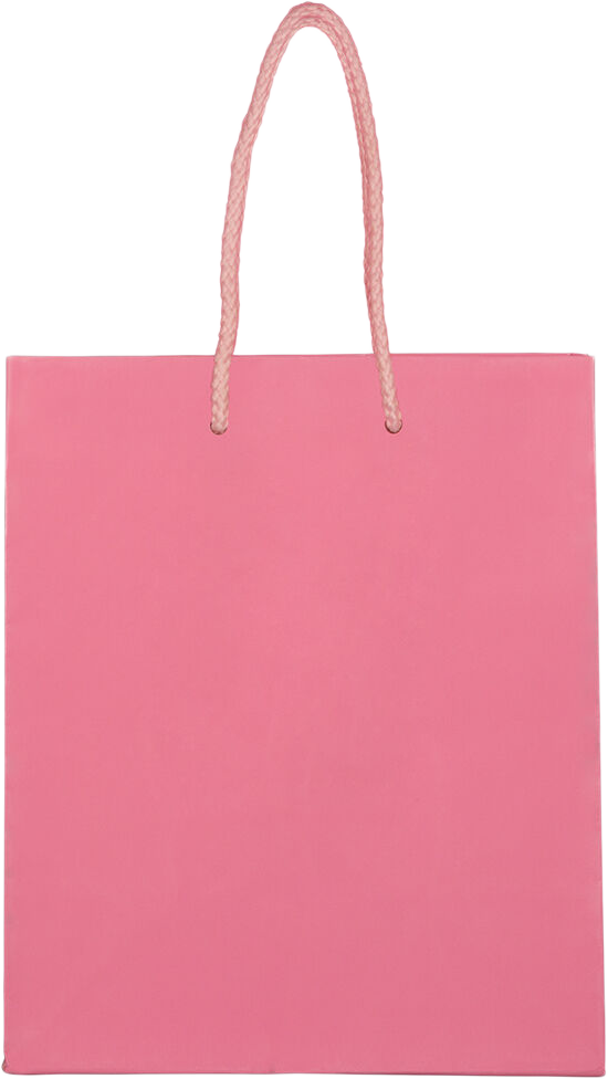 Pink Medium Glossy Gift Bags (8 x 10 x 4)