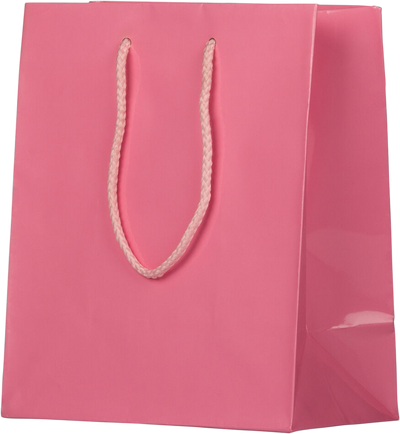 Pink Medium Glossy Gift Bags (8 x 10 x 4)