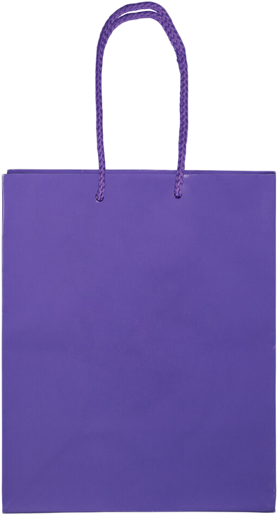 Purple Medium Glossy Gift Bags (8 x 10 x 4)