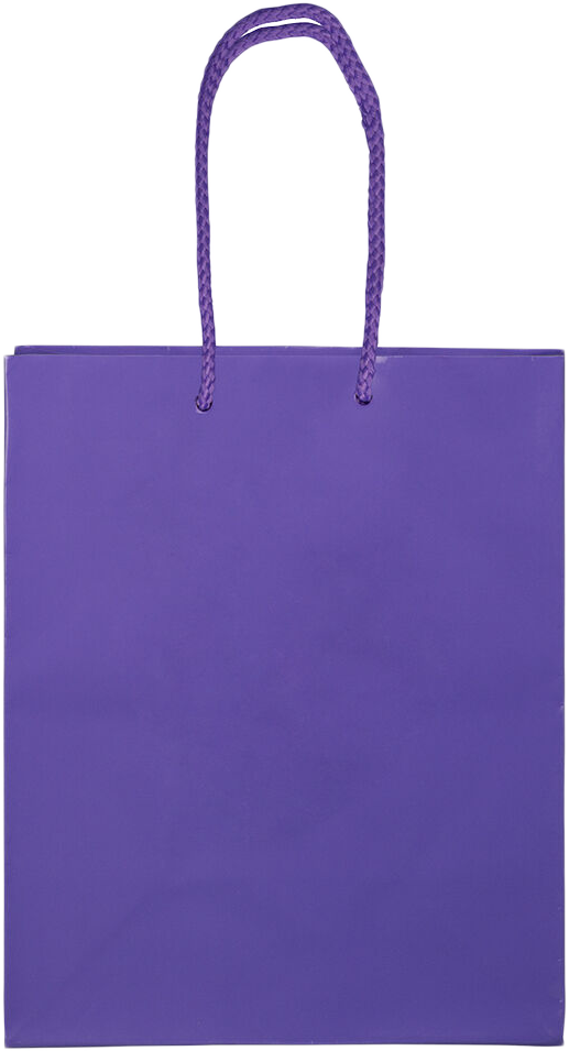 Purple Medium Glossy Gift Bags (8 x 10 x 4)
