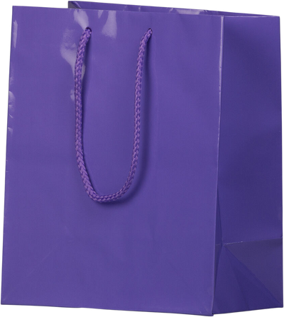 Purple Medium Glossy Gift Bags (8 x 10 x 4)