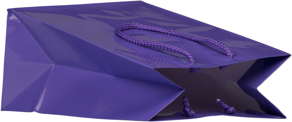 Purple Medium Glossy Gift Bags (8 x 10 x 4)