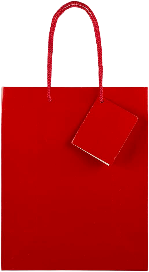 Red Medium Glossy Gift Bags (8 x 10 x 4)