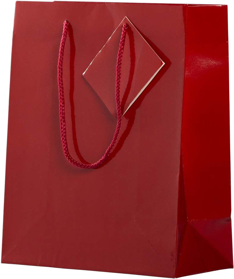 Red Medium Glossy Gift Bags (8 x 10 x 4)