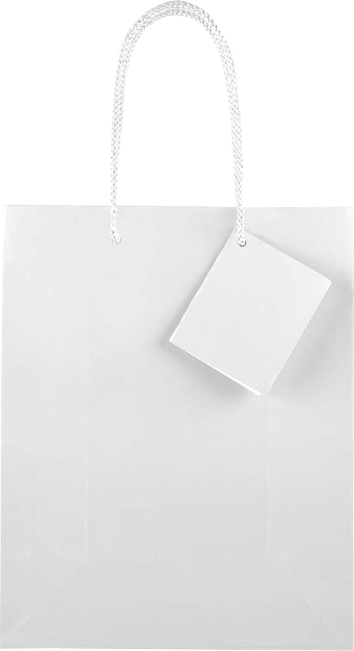 White Medium Glossy Gift Bags (8 x 10 x 4)