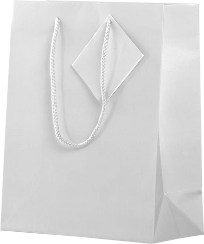 White Medium Glossy Gift Bags (8 x 10 x 4)