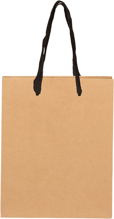 Brown Kraft Recycled Medium Matte Heavy Duty Gift Bags (8 x 10 x 4)