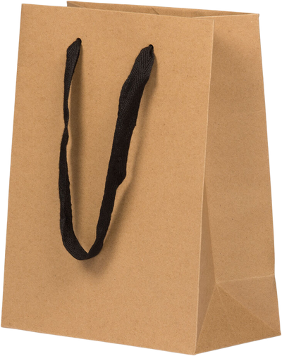 Brown Kraft Recycled Medium Matte Heavy Duty Gift Bags (8 x 10 x 4)
