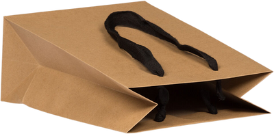 Brown Kraft Recycled Medium Matte Heavy Duty Gift Bags (8 x 10 x 4)