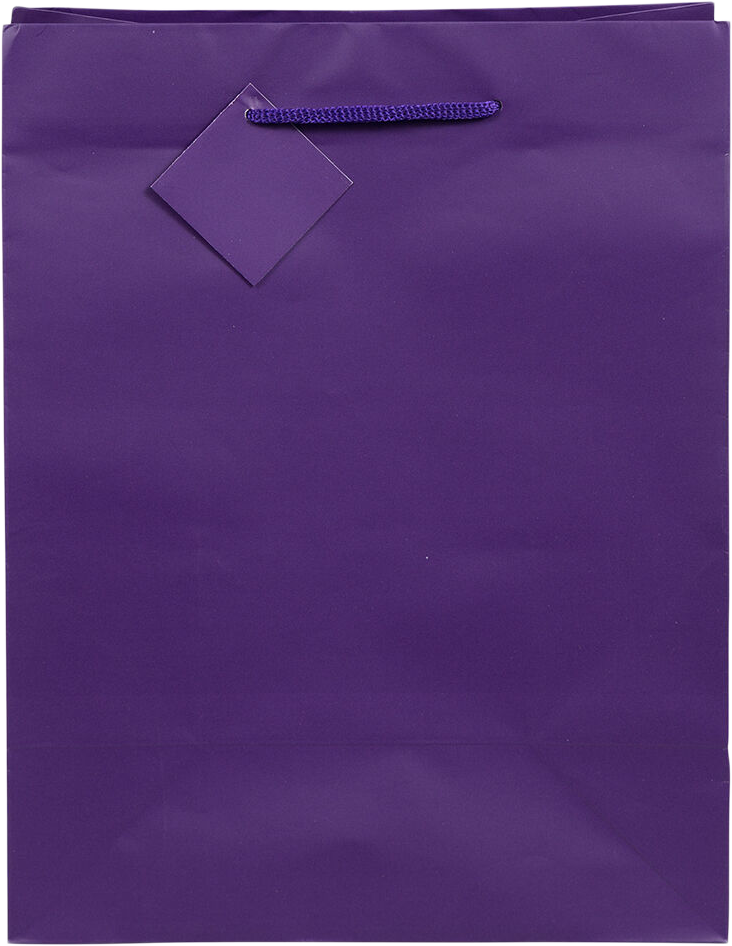 Purple Medium Matte Gift Bags (8 x 10 x 4)