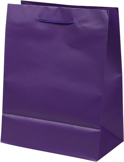 Purple Medium Matte Gift Bags (8 x 10 x 4)