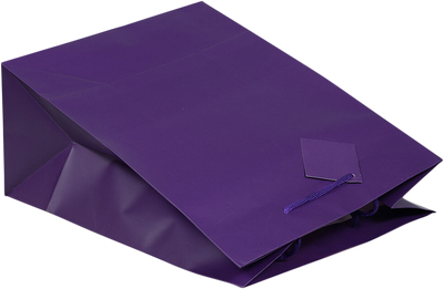 Purple Medium Matte Gift Bags (8 x 10 x 4)