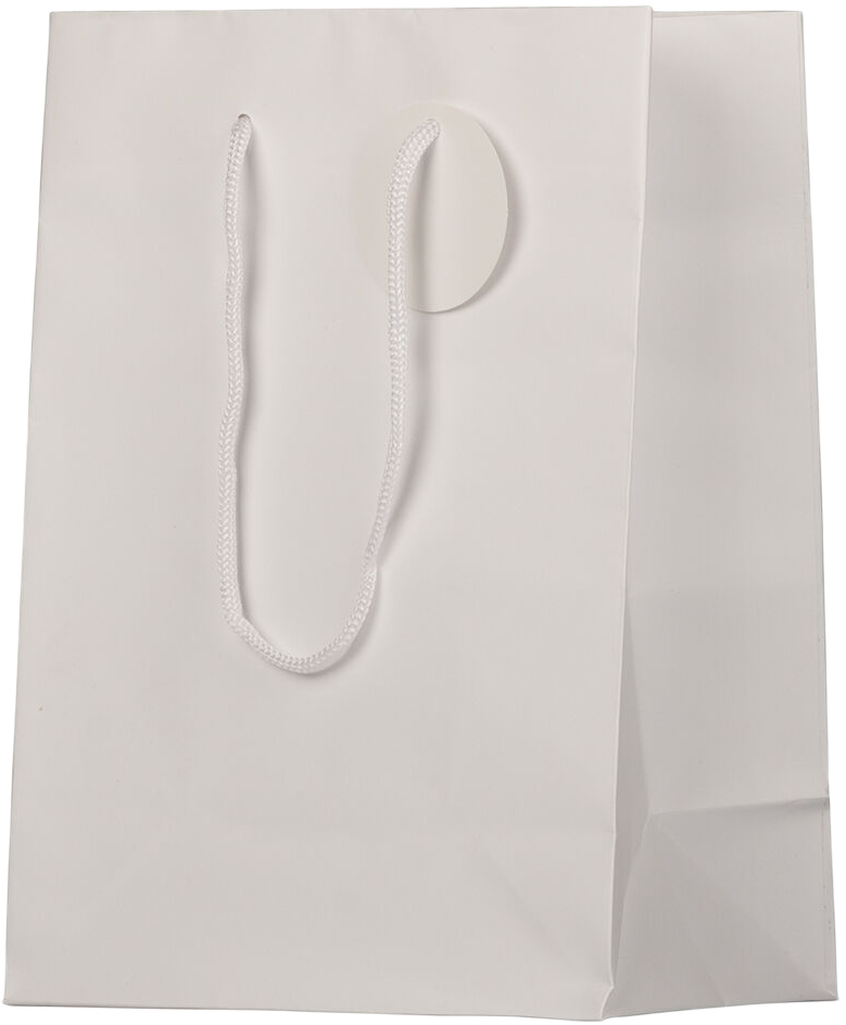 White Medium Matte Gift Bags (8 x 10 x 4)
