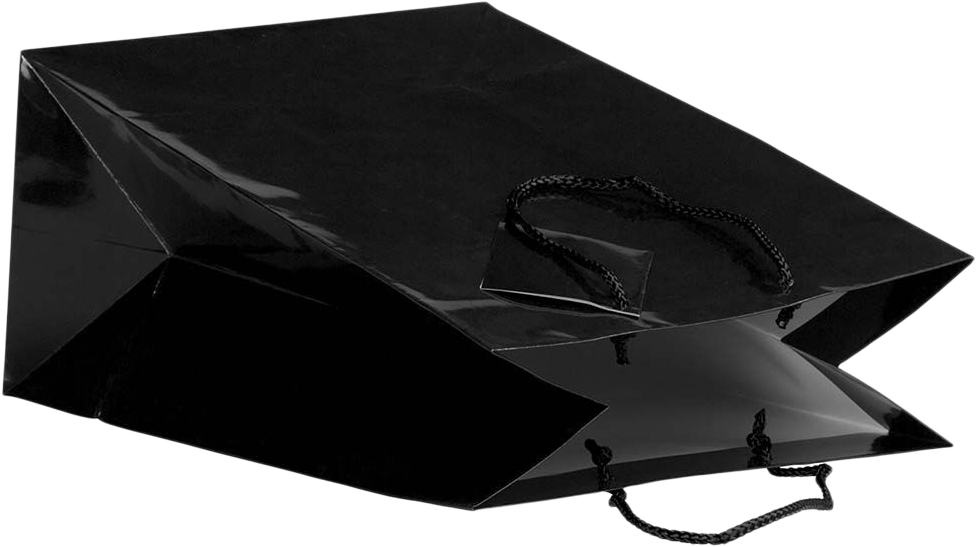 Black Large Glossy Gift Bags (10 x 13 x 5)