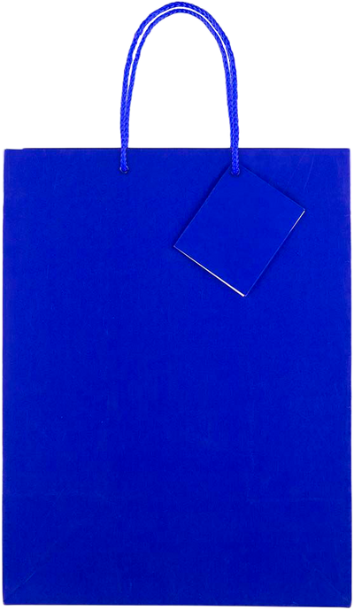 Blue Large Glossy Gift Bags (10 x 13 x 5)