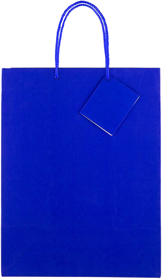 Blue Large Glossy Gift Bags (10 x 13 x 5)