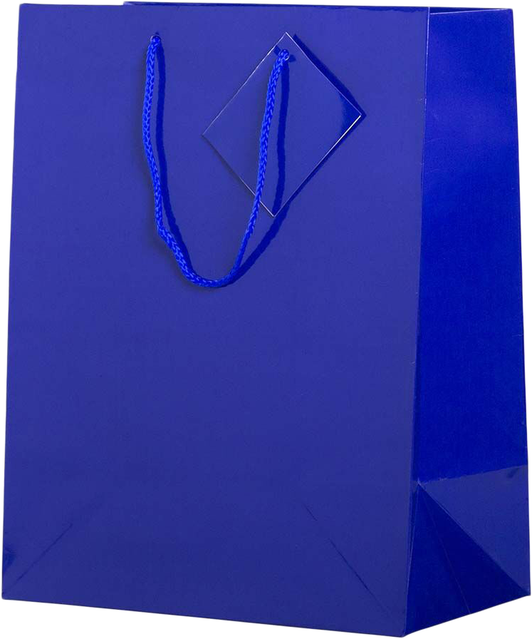 Blue Large Glossy Gift Bags (10 x 13 x 5)