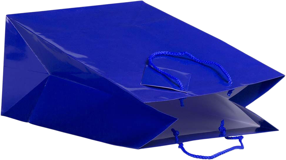 Blue Large Glossy Gift Bags (10 x 13 x 5)