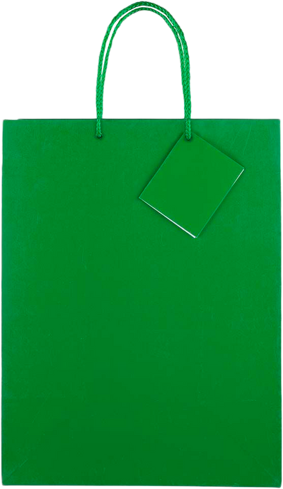 Green Large Glossy Gift Bags (10 x 13 x 5)