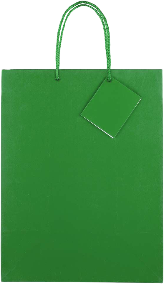 Green Large Glossy Gift Bags (10 x 13 x 5)