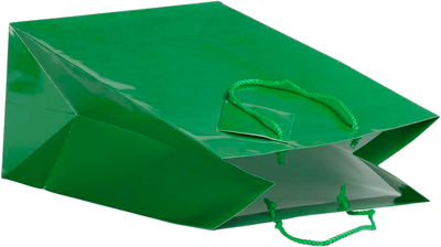 Green Large Glossy Gift Bags (10 x 13 x 5)