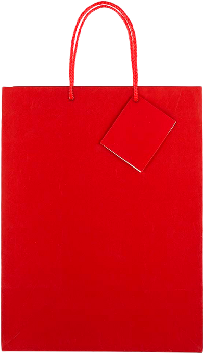 Red Large Glossy Gift Bags (10 x 13 x 5)