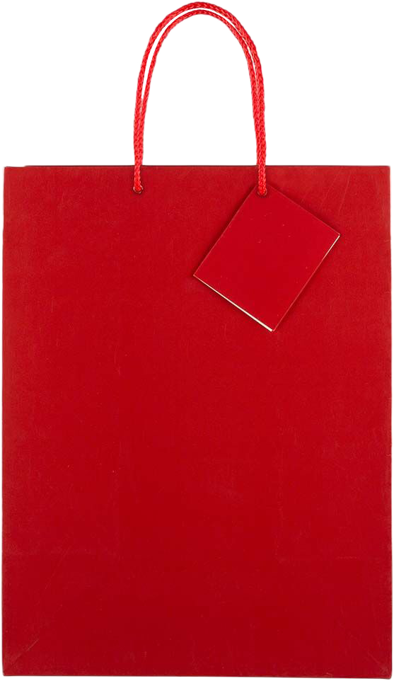 Red Large Glossy Gift Bags (10 x 13 x 5)