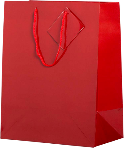 Red Large Glossy Gift Bags (10 x 13 x 5)