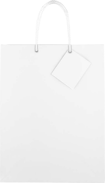 White Large Glossy Gift Bags (10 x 13 x 5)