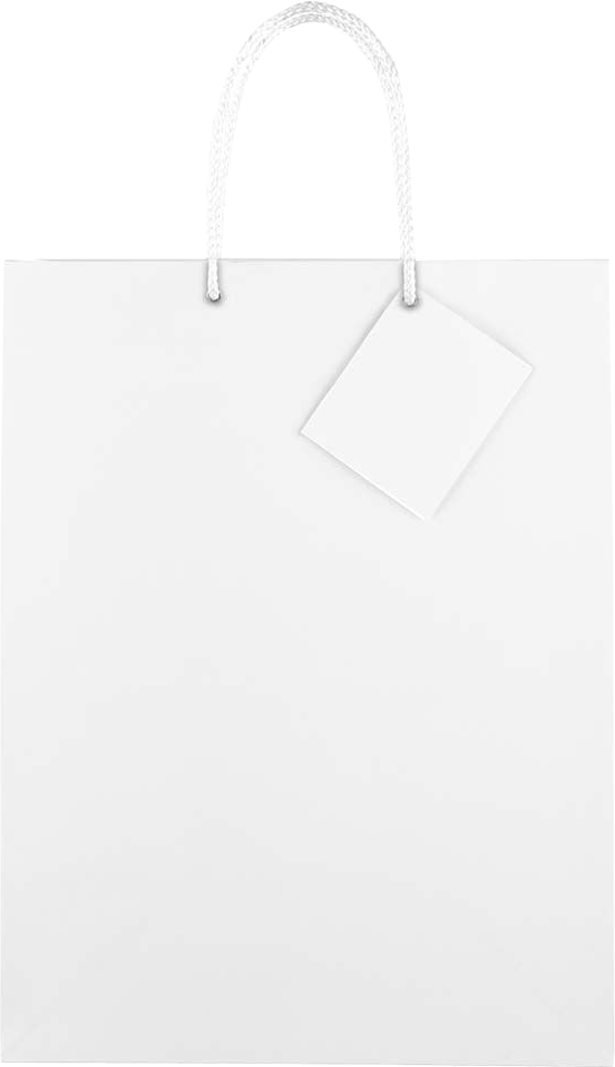 White Large Glossy Gift Bags (10 x 13 x 5)