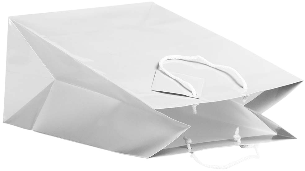 White Large Glossy Gift Bags (10 x 13 x 5)