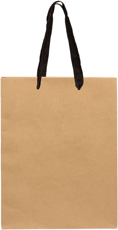 Brown Kraft Recycled Large Matte Heavy Duty Gift Bags (10 x 13 x 5)