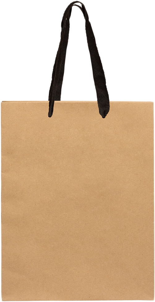 Brown Kraft Recycled Large Matte Heavy Duty Gift Bags (10 x 13 x 5)