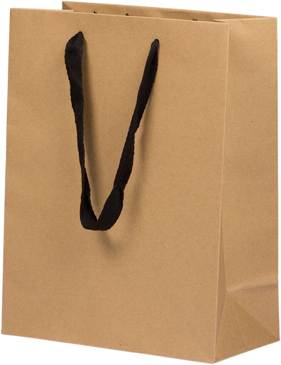 Brown Kraft Recycled Large Matte Heavy Duty Gift Bags (10 x 13 x 5)
