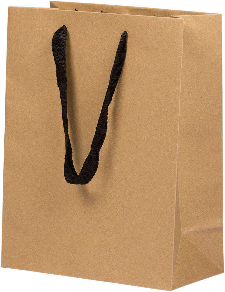 Brown Kraft Recycled Large Matte Heavy Duty Gift Bags (10 x 13 x 5)