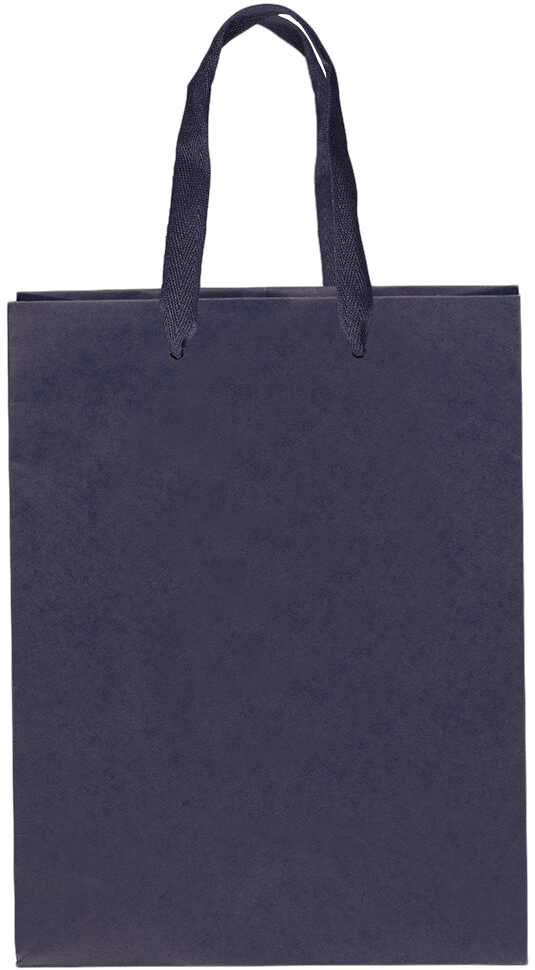 Navy Blue Kraft Recycled Large Matte Heavy Duty Gift Bags (10 x 13 x 5)