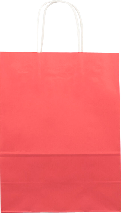 Red Kraft Large Gift Bags (10 x 13 x 5)