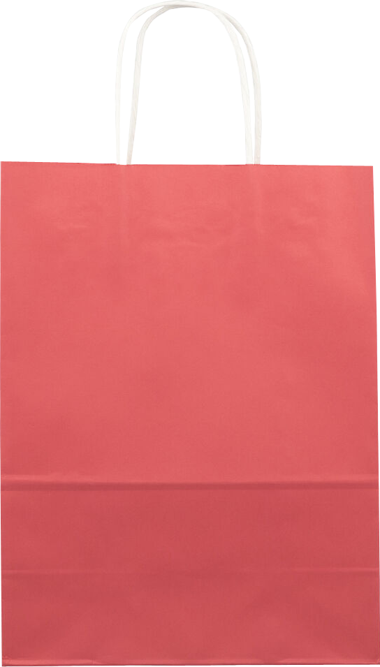 Red Kraft Large Gift Bags (10 x 13 x 5)